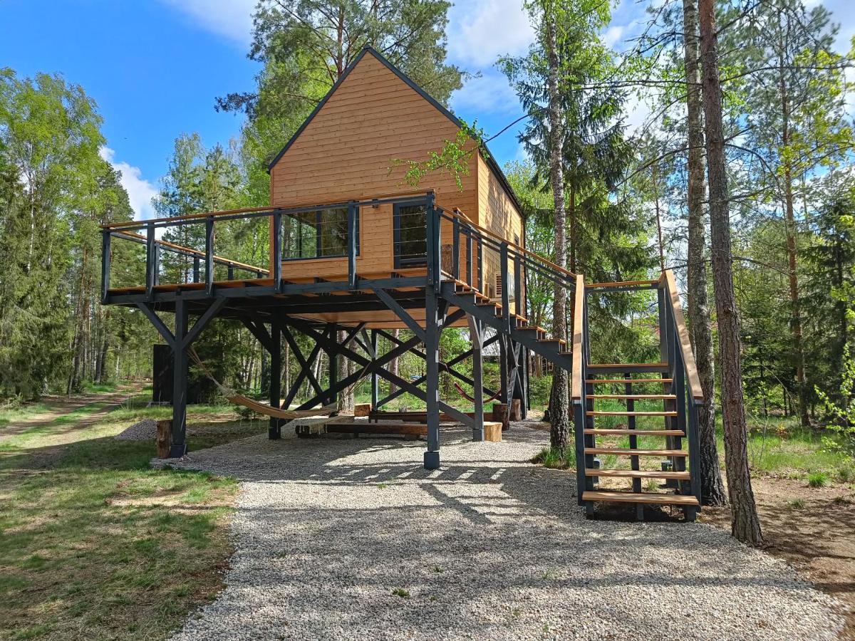 Zdalnie Z Lasu - Siedlisko W Puszczy Bialowieskiej Narewka Exterior photo
