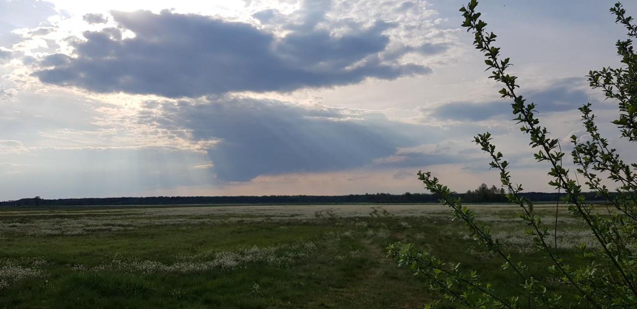 Zdalnie Z Lasu - Siedlisko W Puszczy Bialowieskiej Narewka Exterior photo