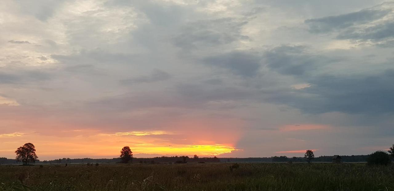 Zdalnie Z Lasu - Siedlisko W Puszczy Bialowieskiej Narewka Exterior photo