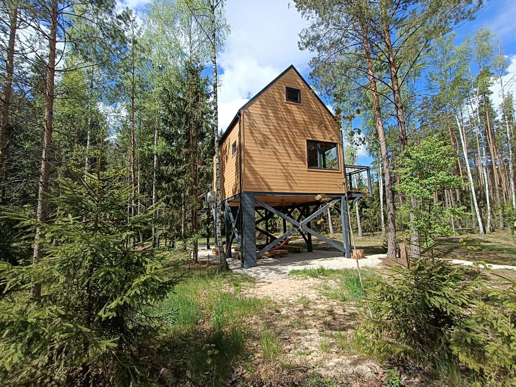 Zdalnie Z Lasu - Siedlisko W Puszczy Bialowieskiej Narewka Exterior photo