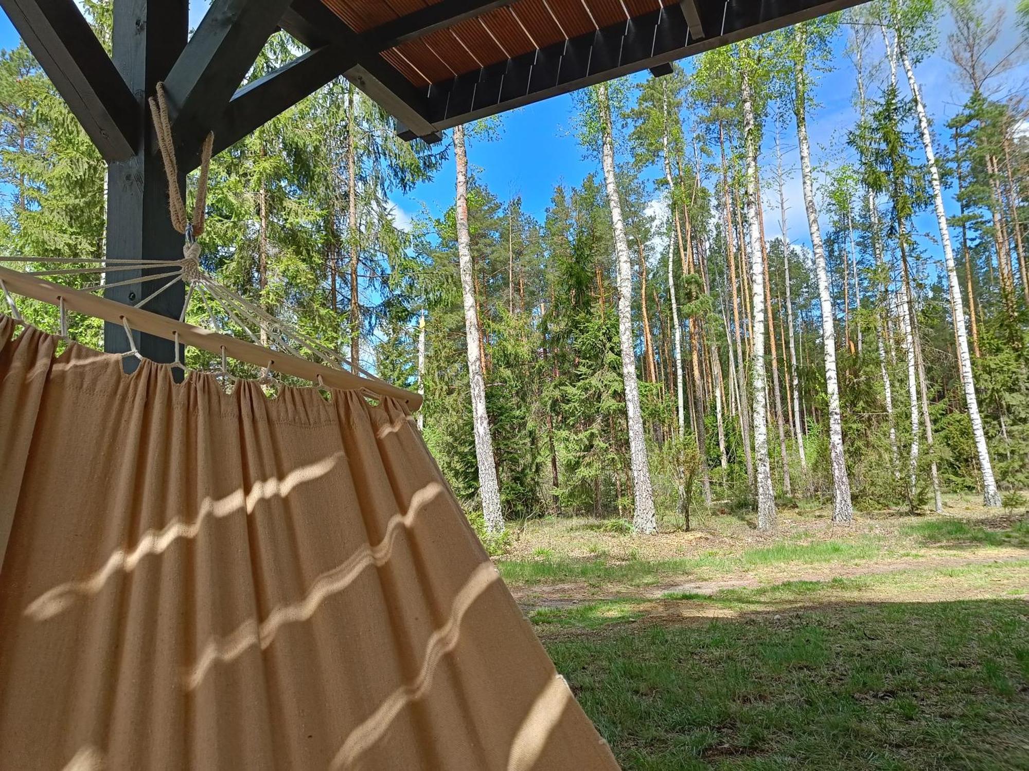 Zdalnie Z Lasu - Siedlisko W Puszczy Bialowieskiej Narewka Exterior photo